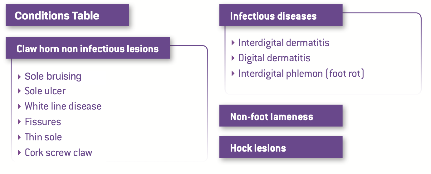 Conditions table