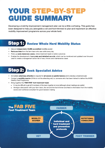 Step-by-step guide summary
